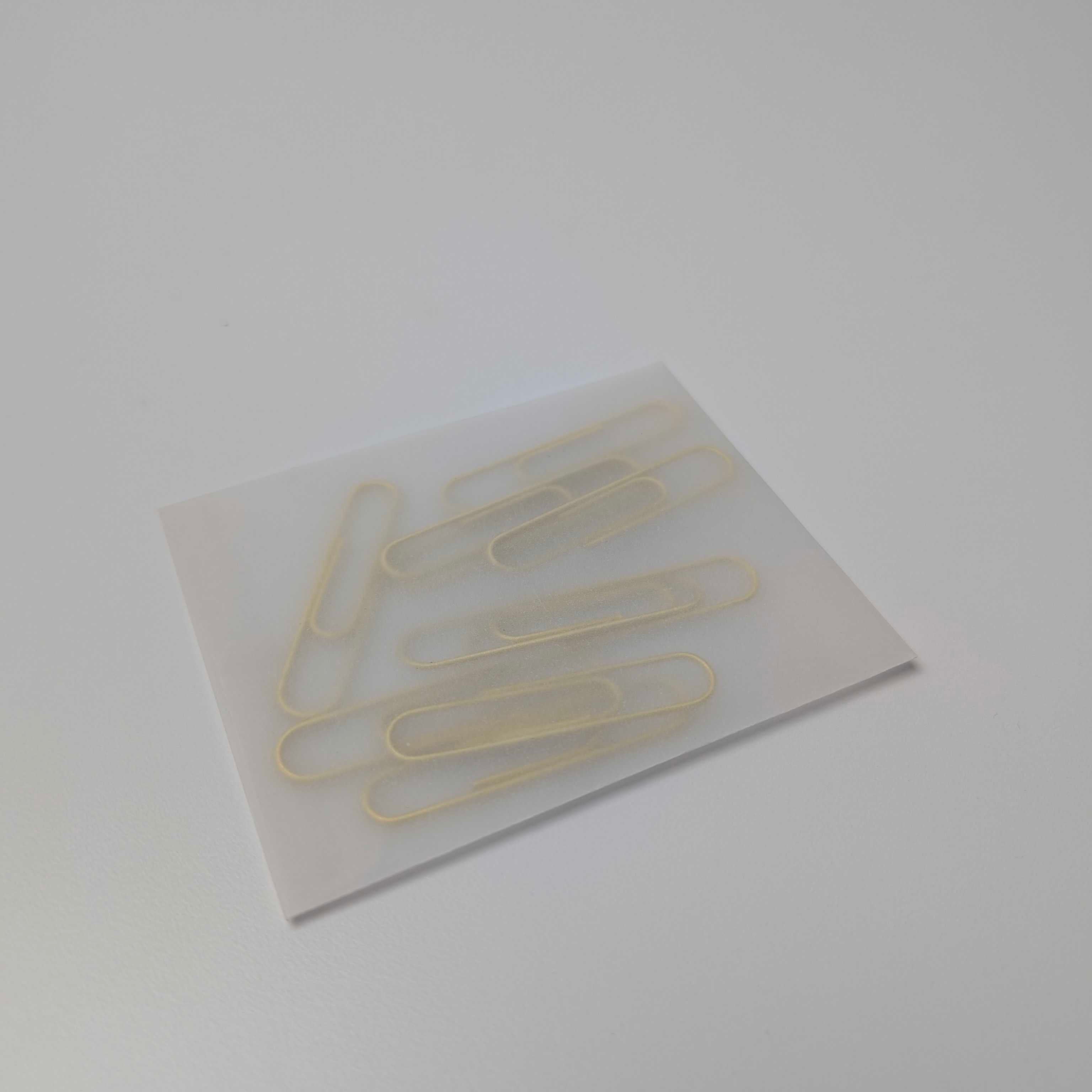 Brass Paper Clips