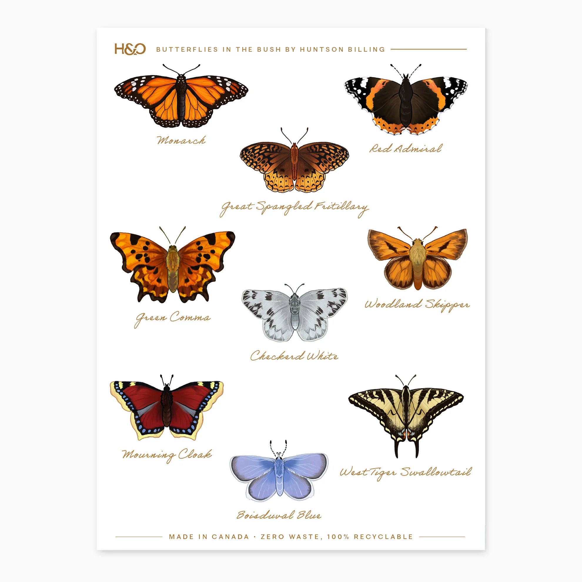 Butterflies in the Bush Stickers