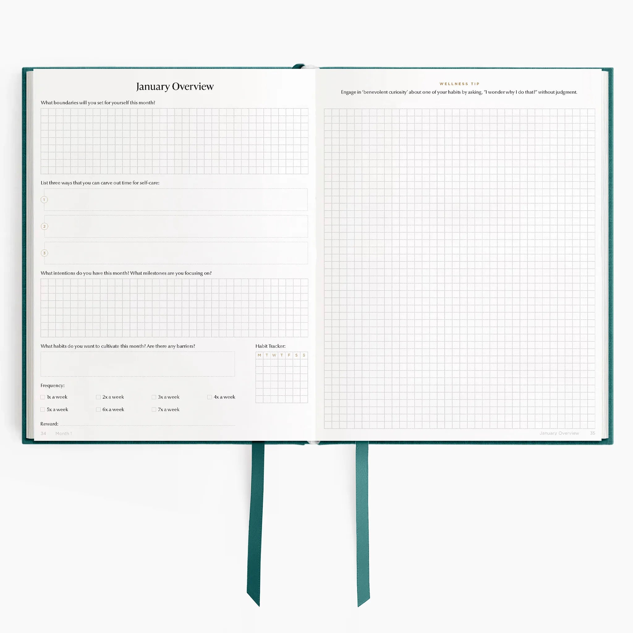 #color_enchanted forest