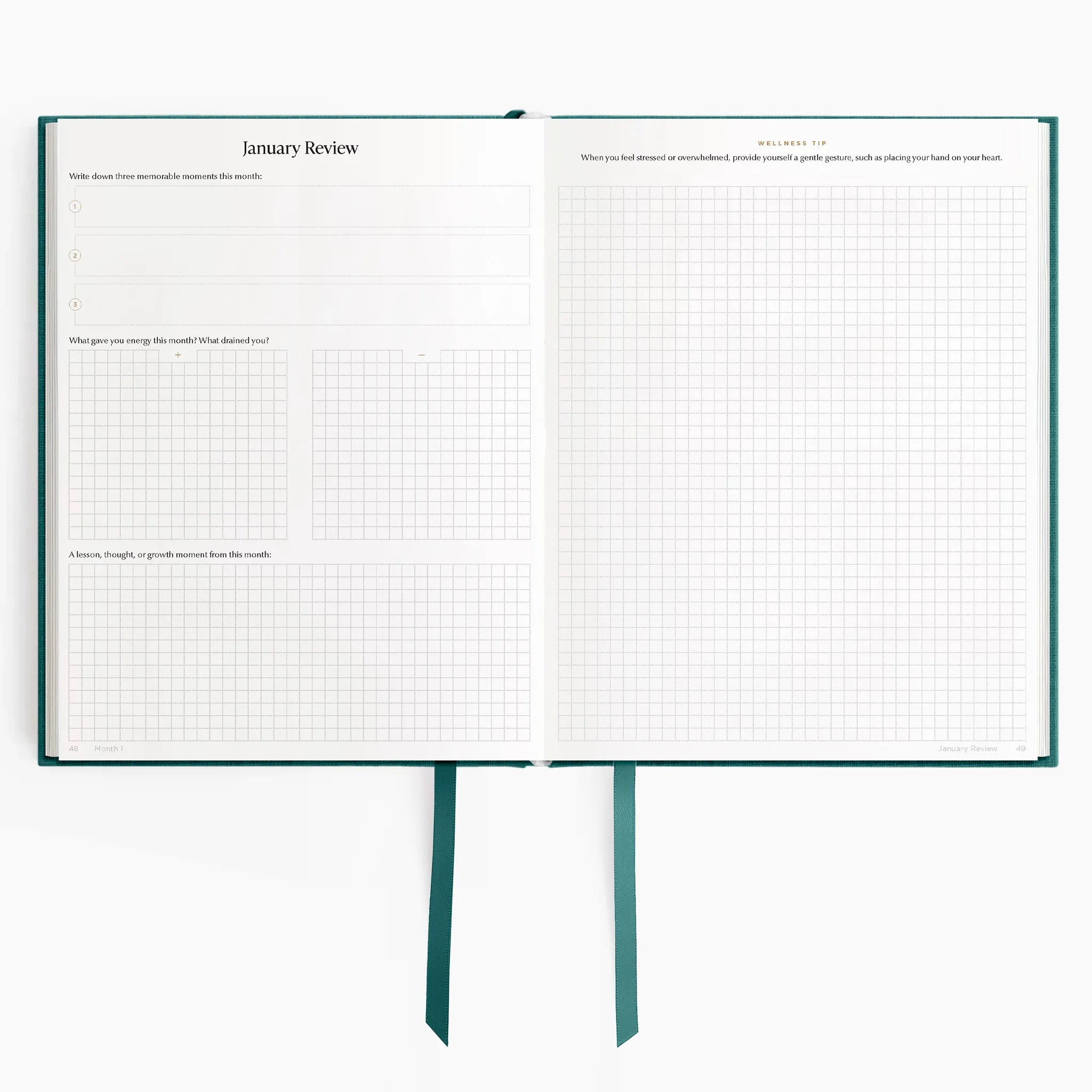 #color_enchanted forest