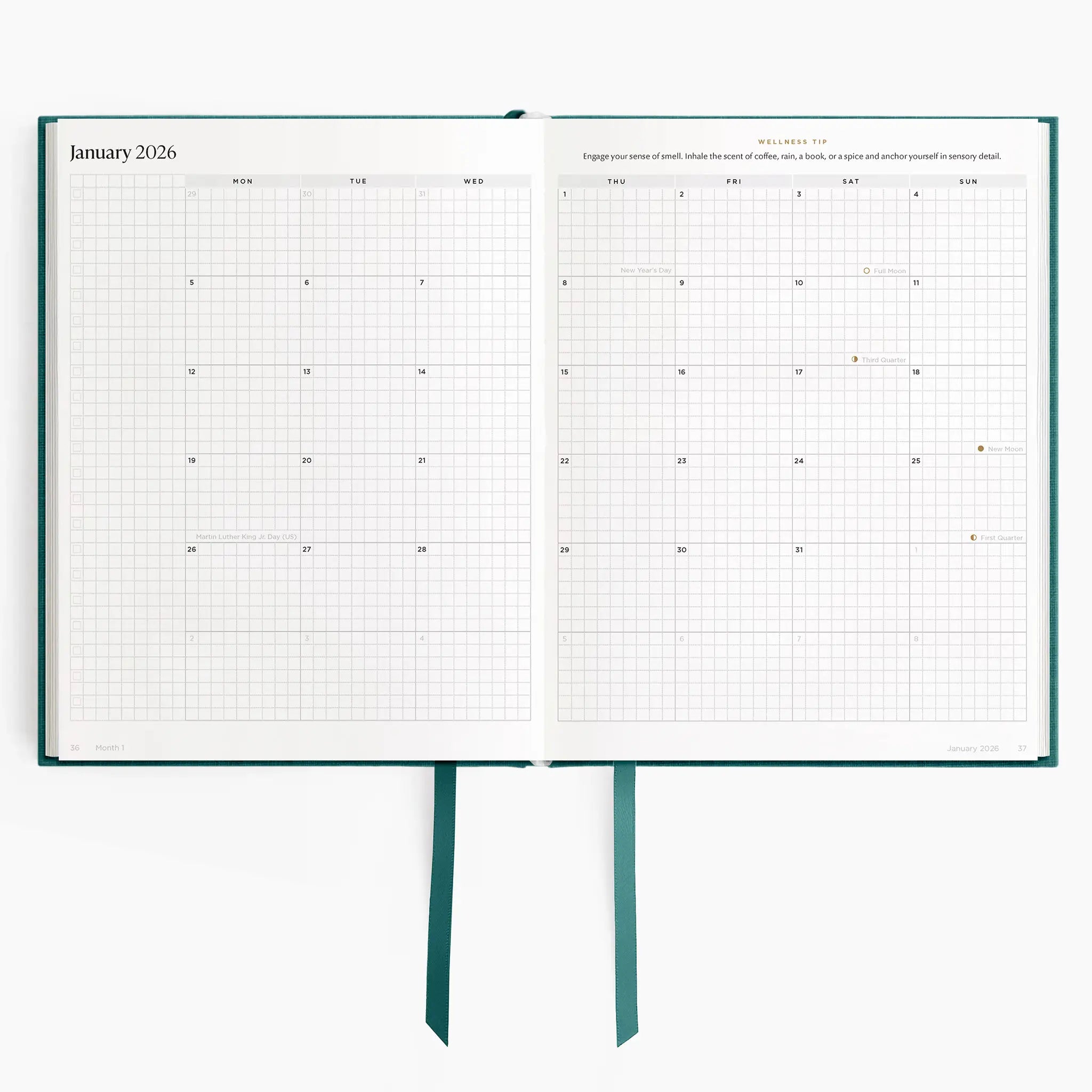 #color_enchanted forest