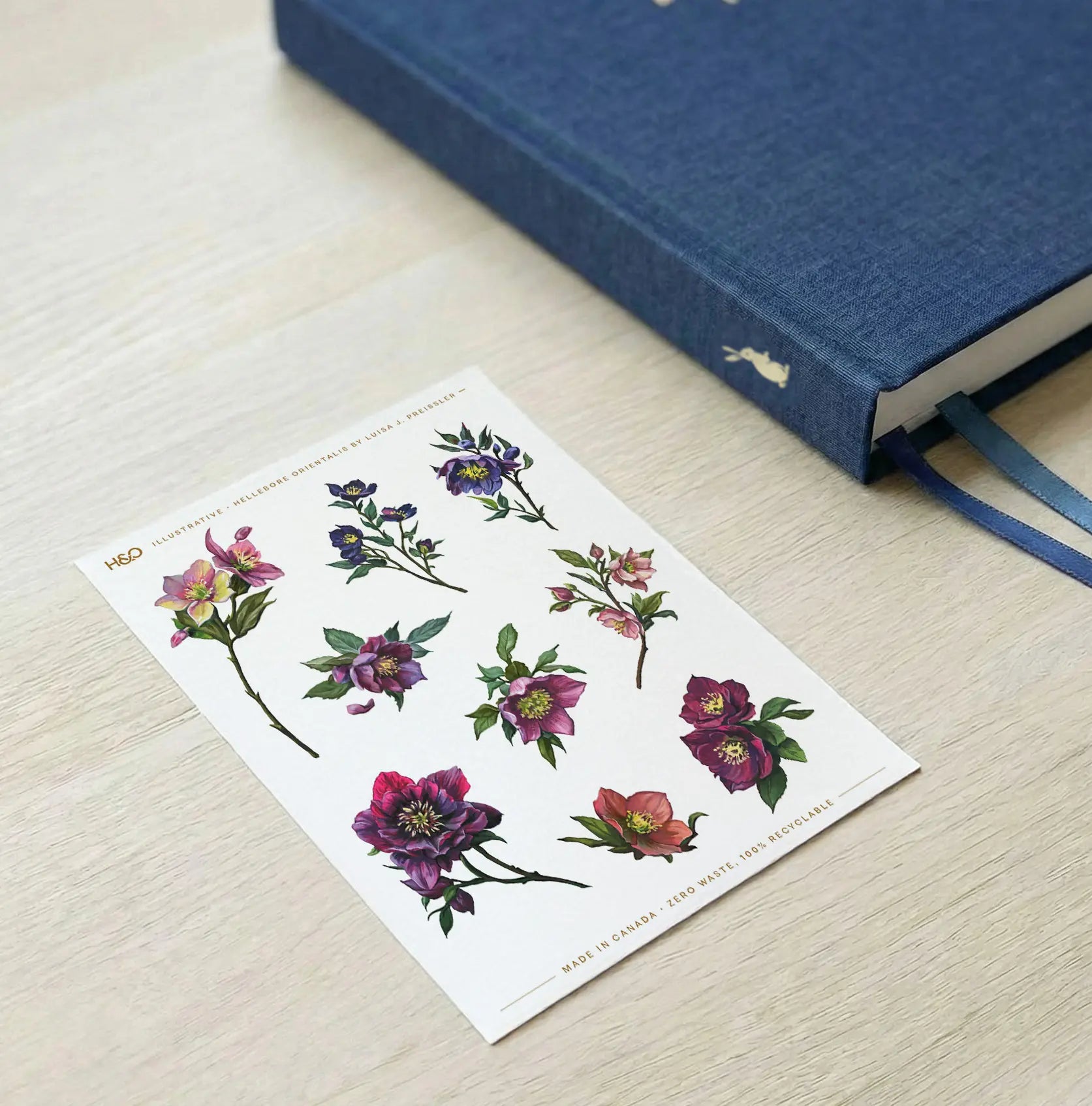Hellebore Orientalis Stickers