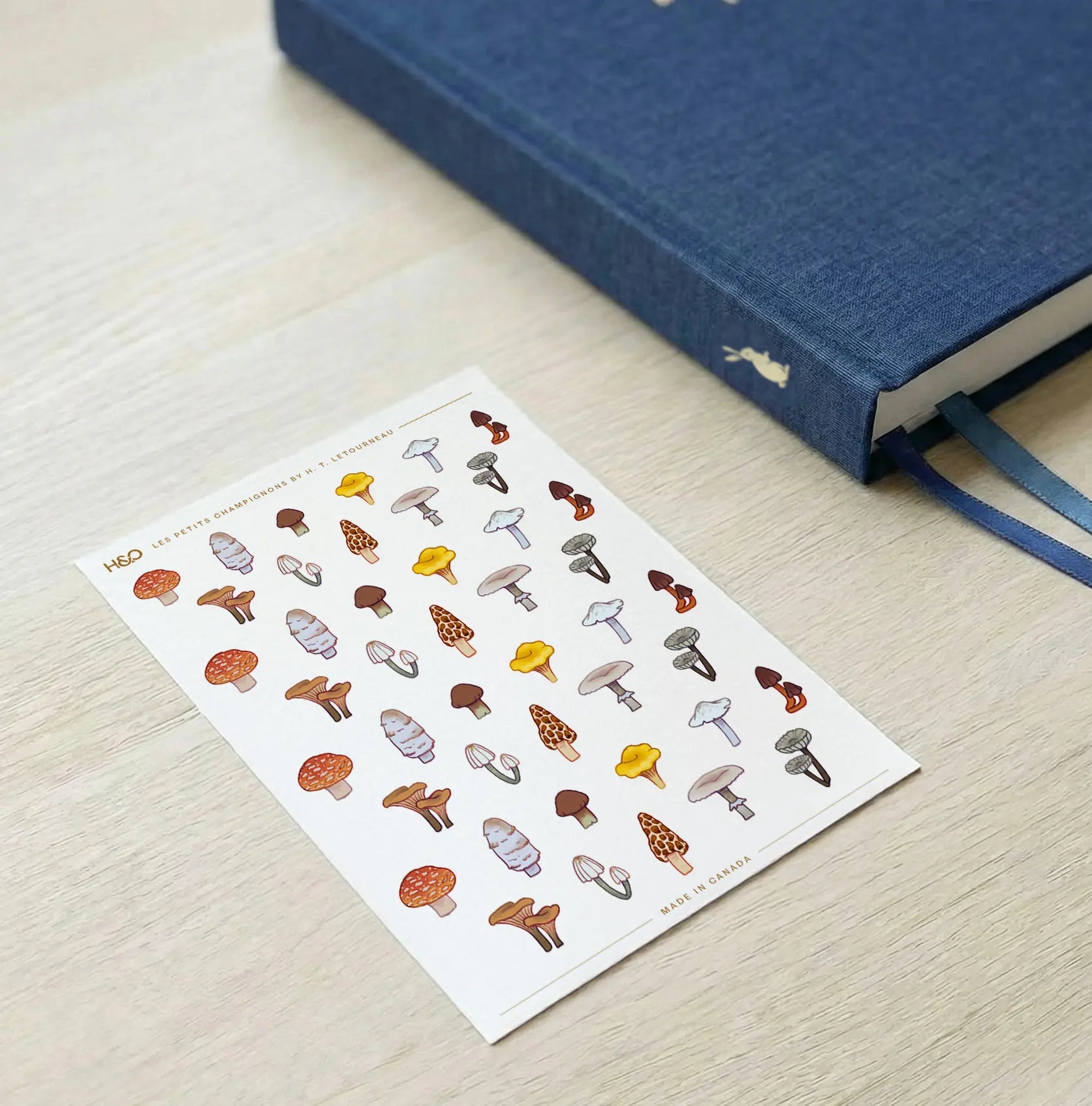 Les Petits Champignons Stickers