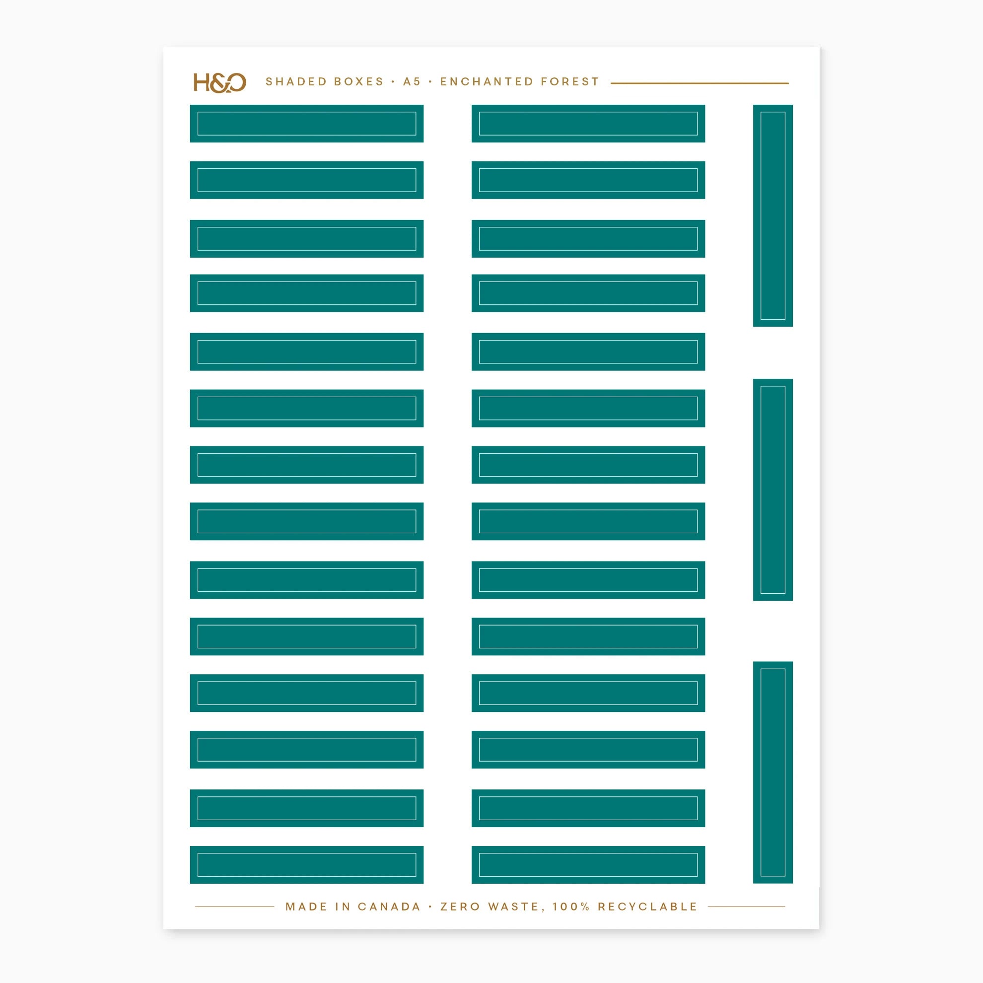 #color_enchanted forest