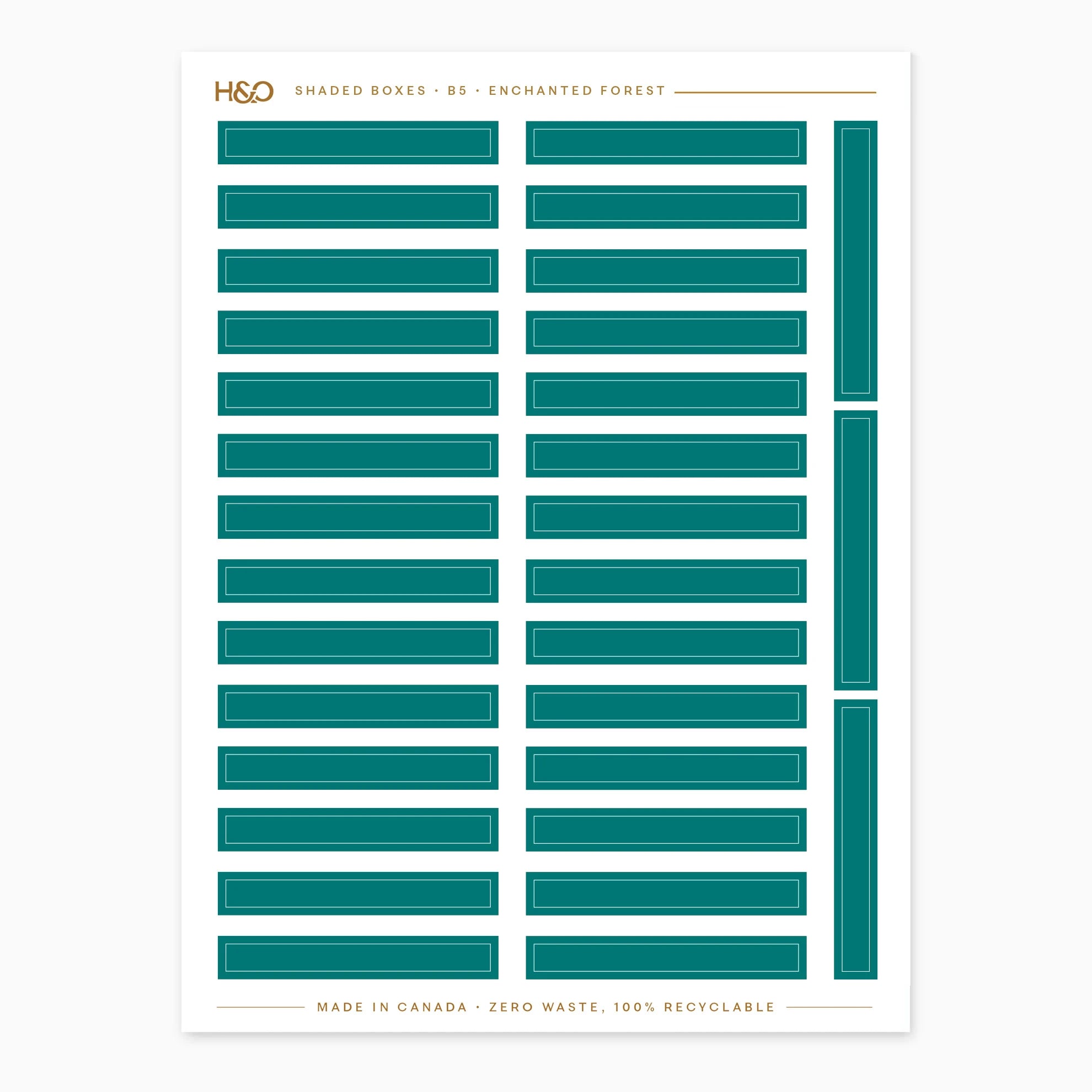 #color_enchanted forest