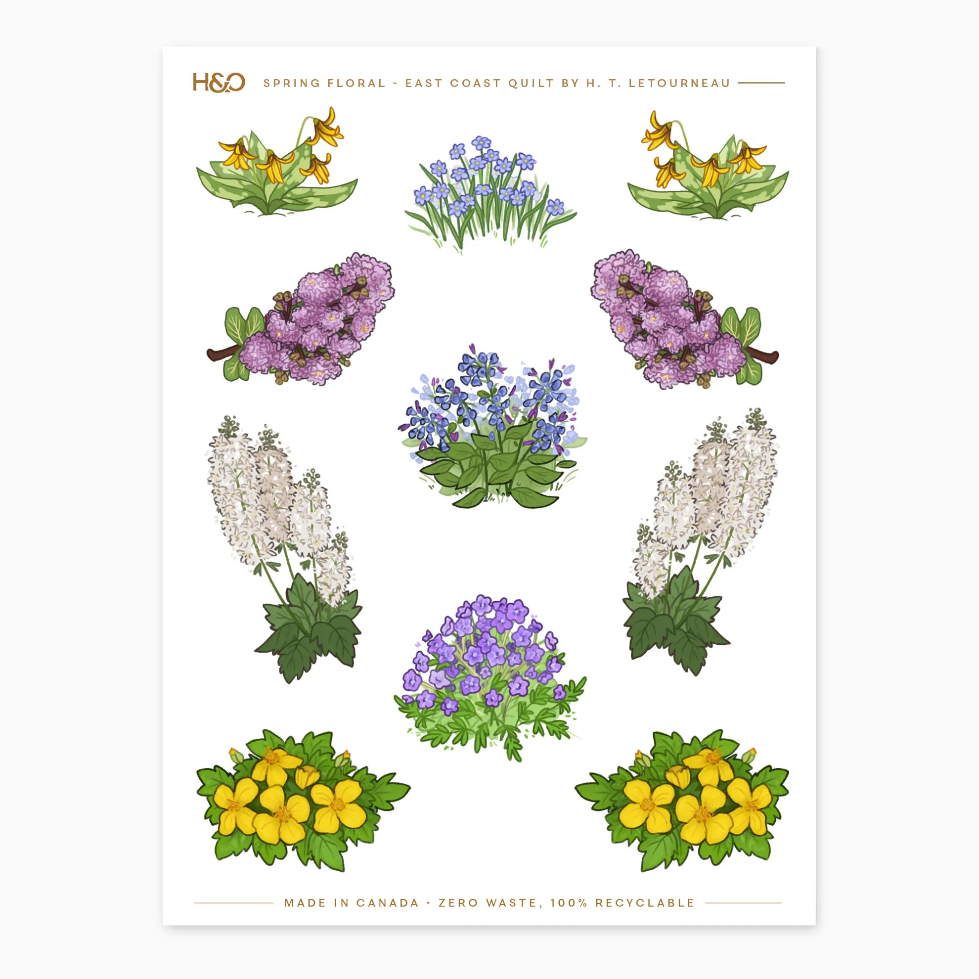 #color_spring