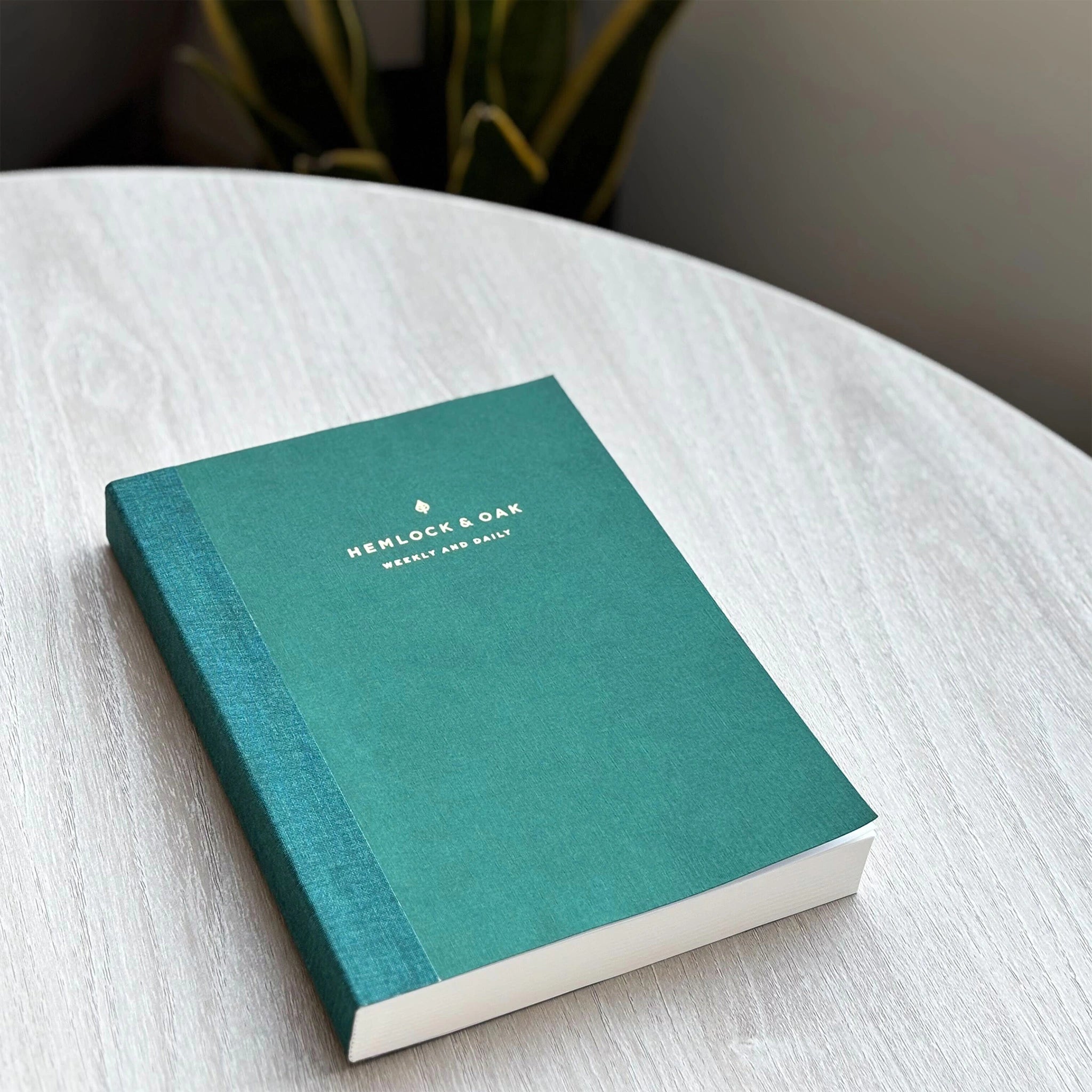 #color_enchanted forest