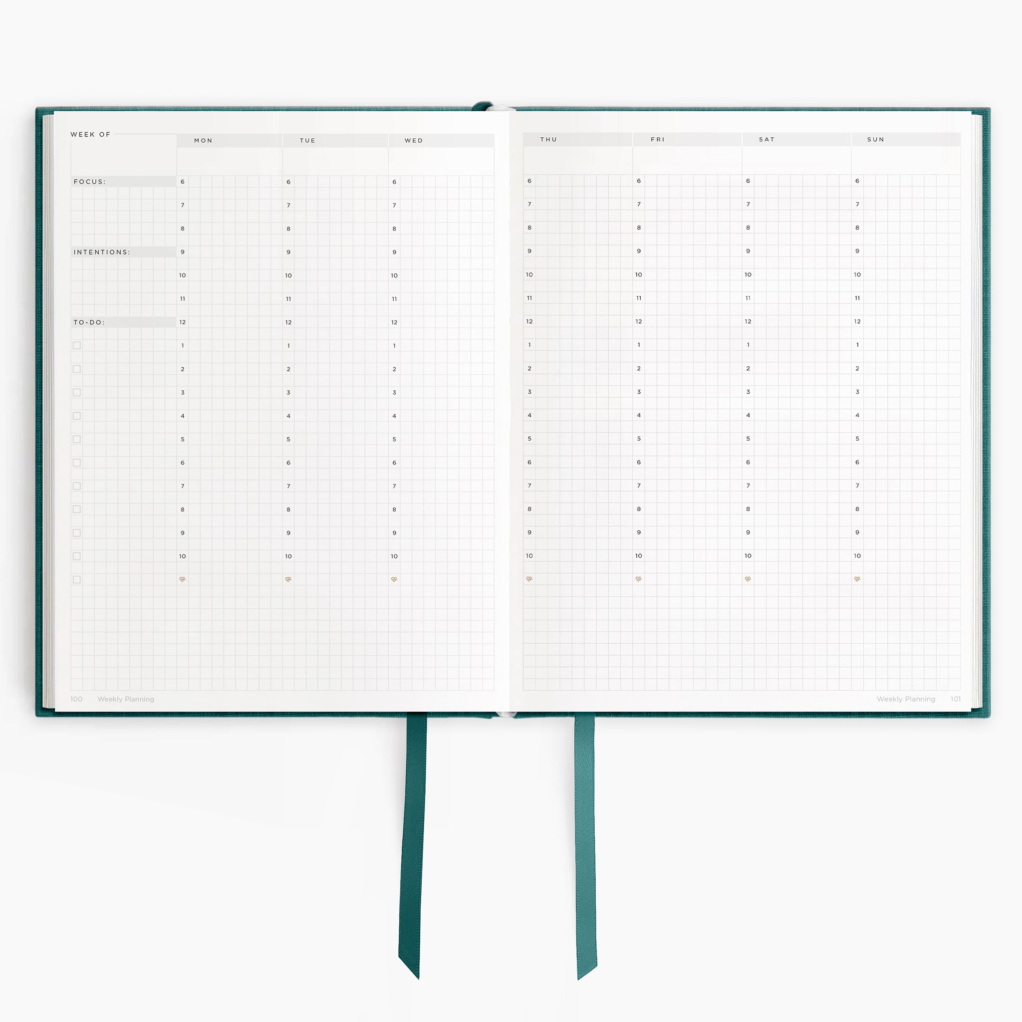 #color_Enchanted Forest