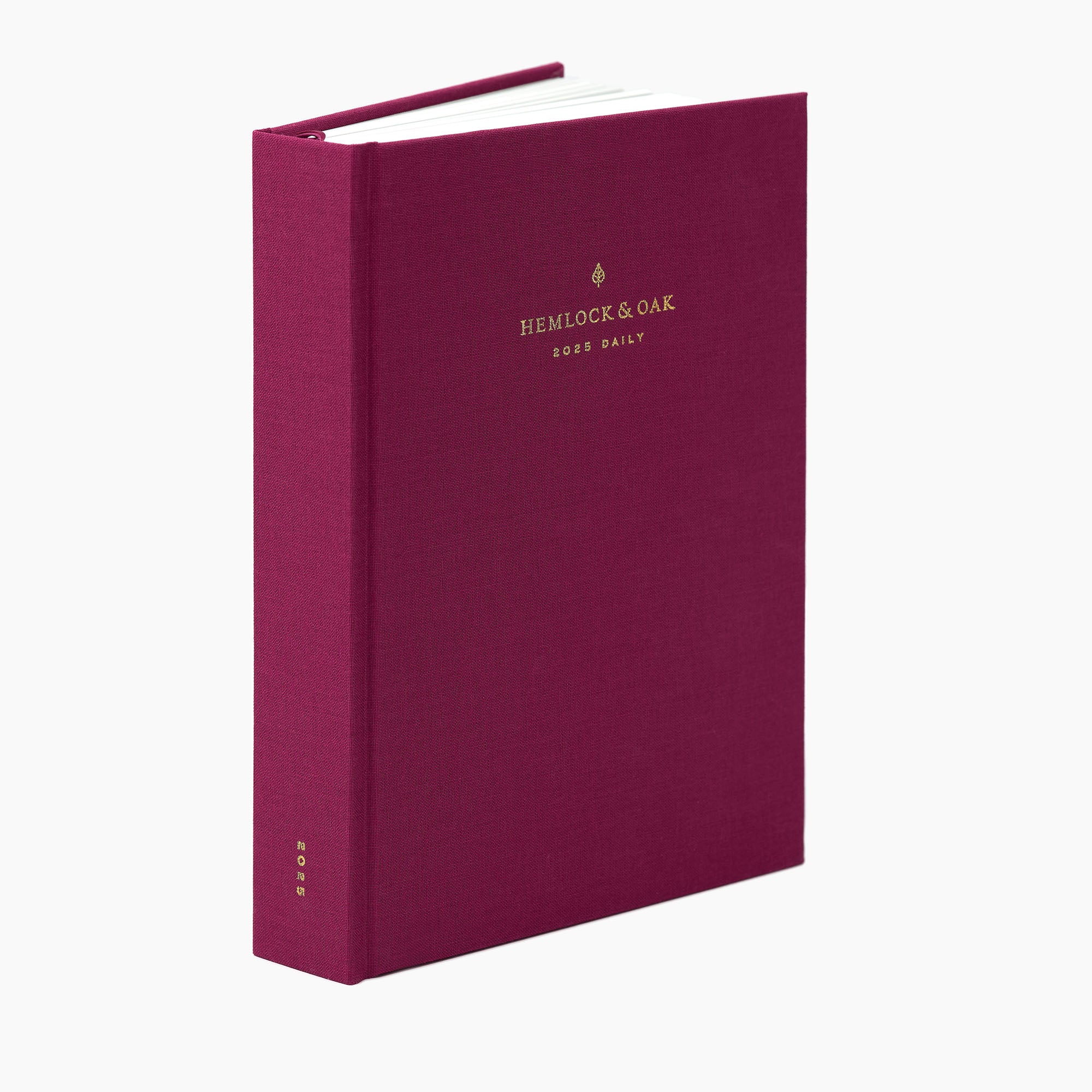 2025 Daily Planner