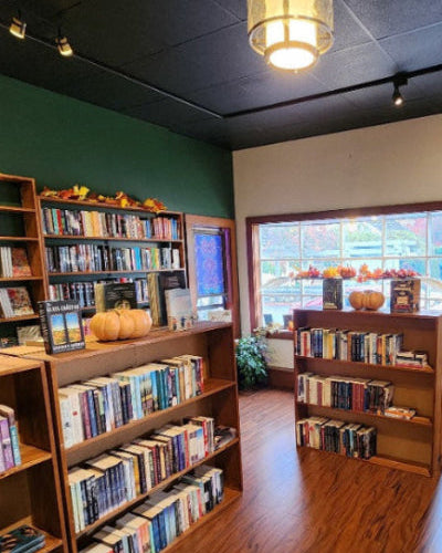 Library or bookstore interior with bookshelves and a large window.