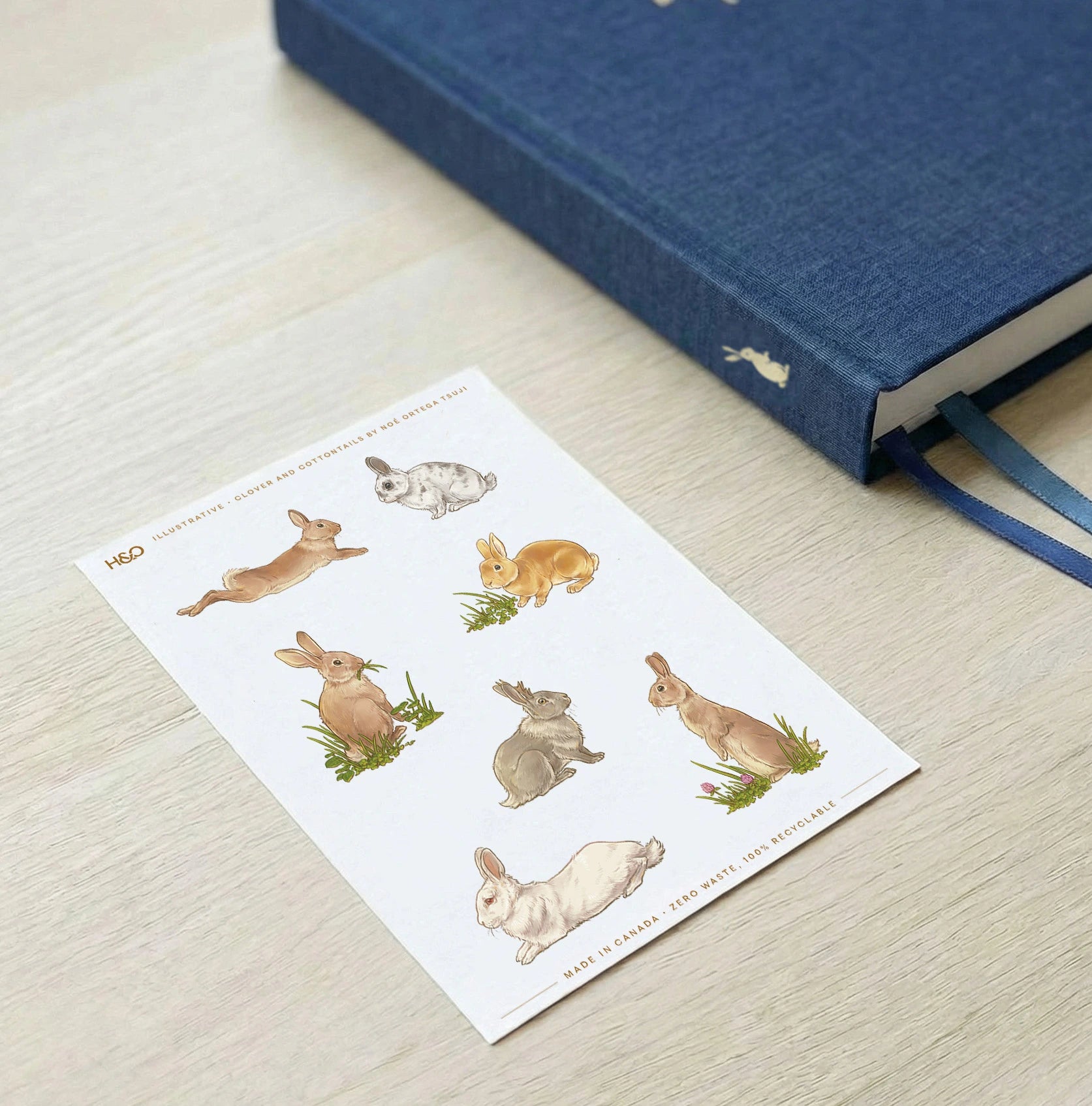 Clovers and cottontails