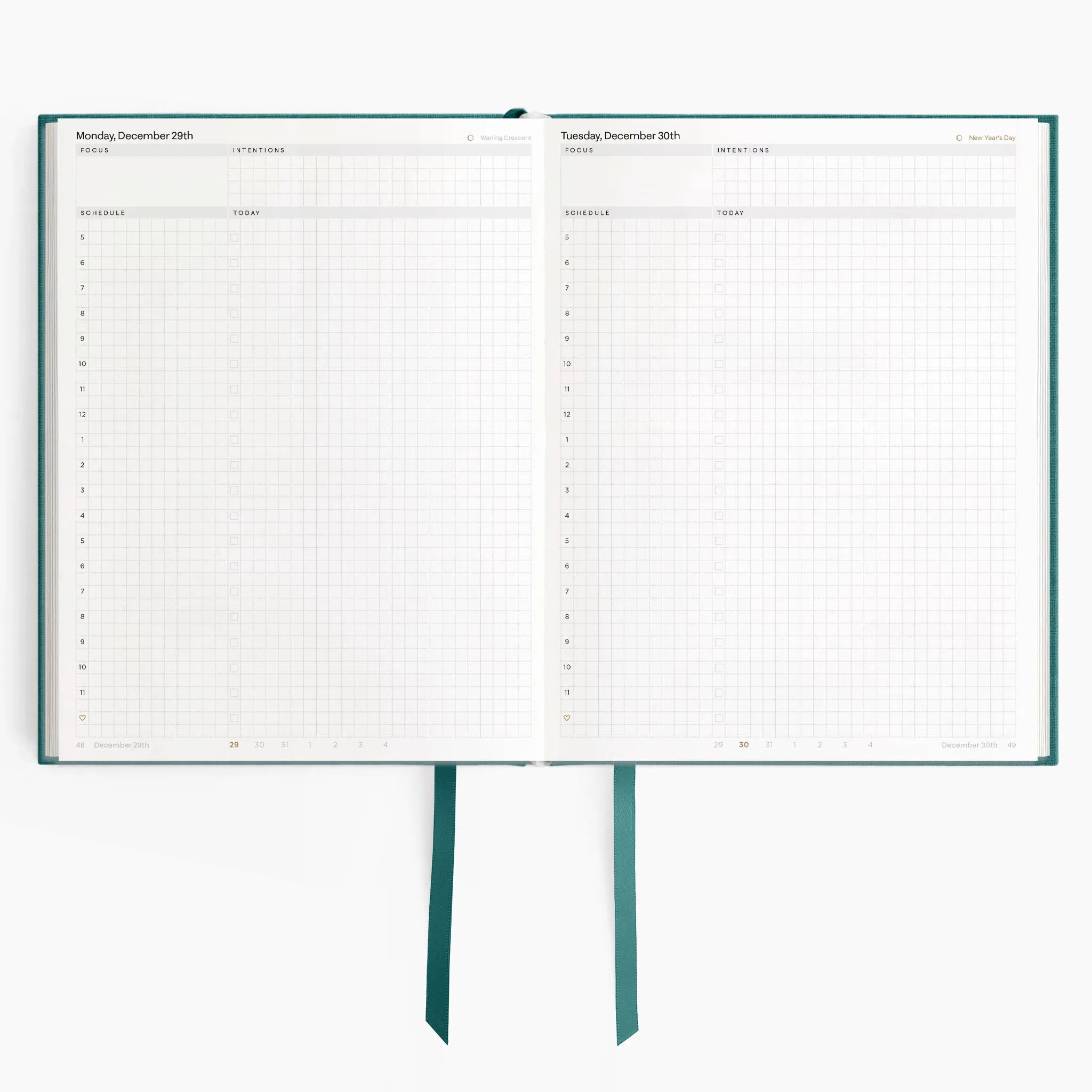 #color_enchanted forest