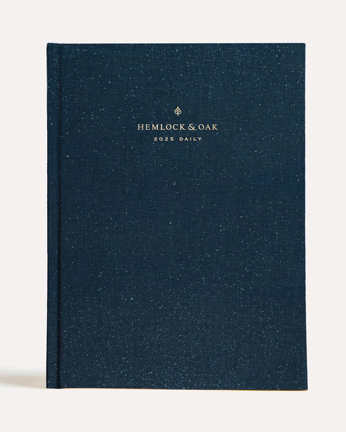 2025 Daily Planner (imperfect)