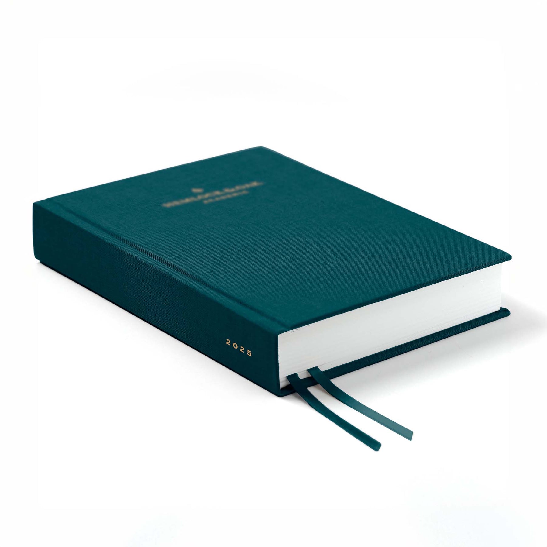 2025 Daily Planner