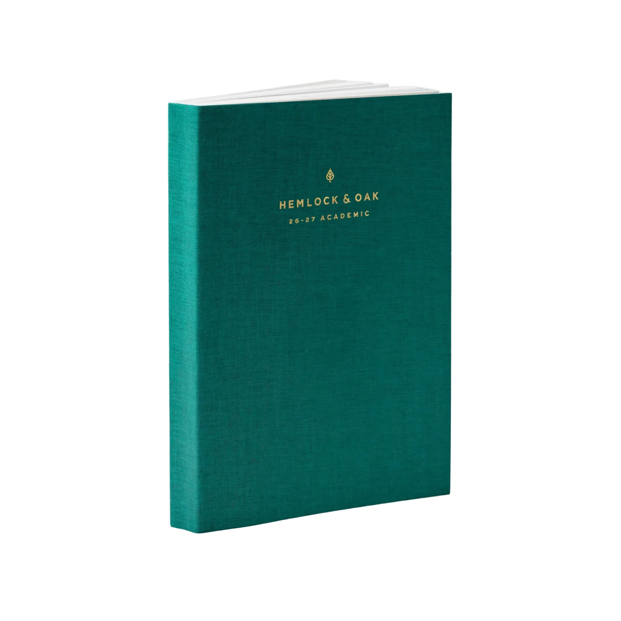 #color_enchanted forest