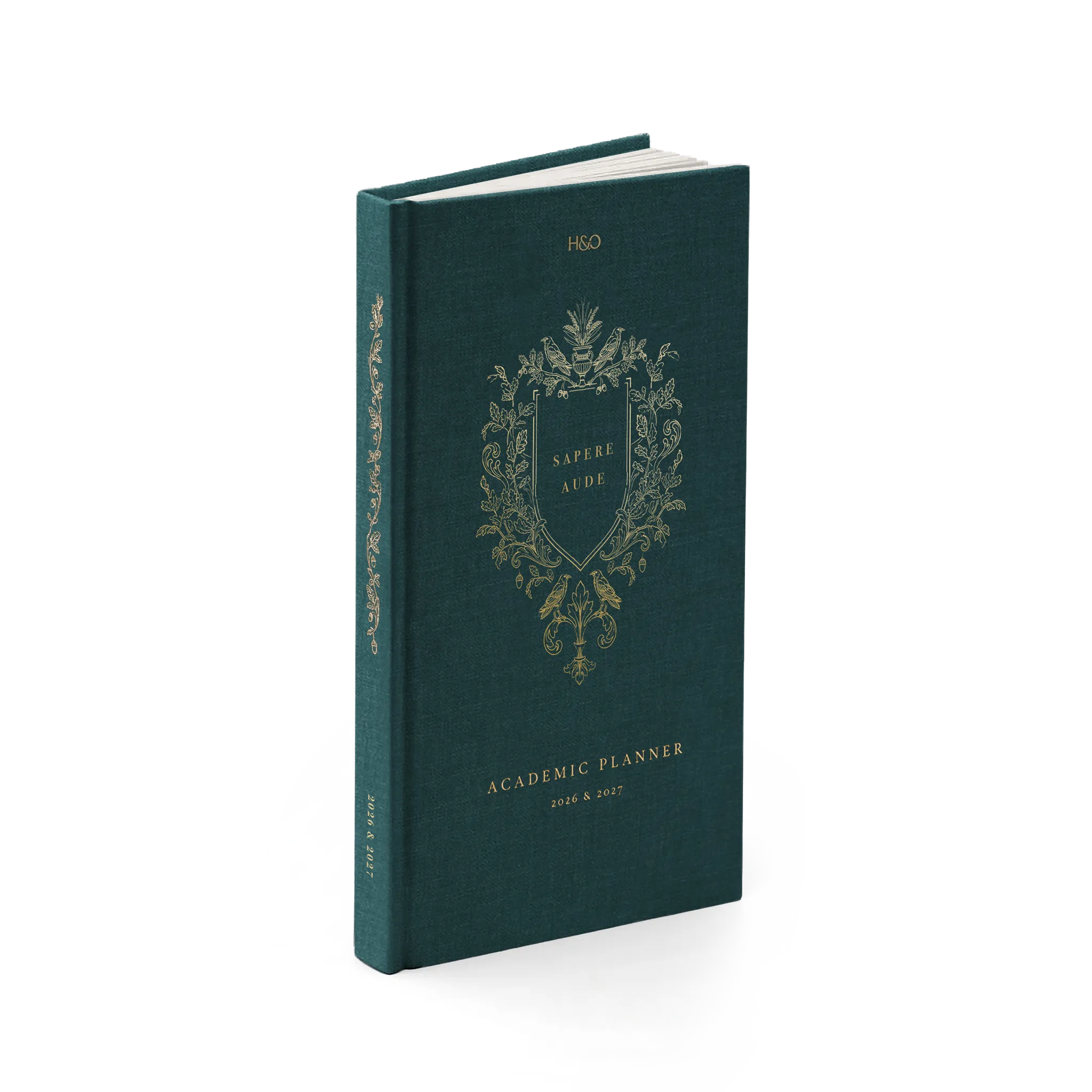 #color_enchanted forest