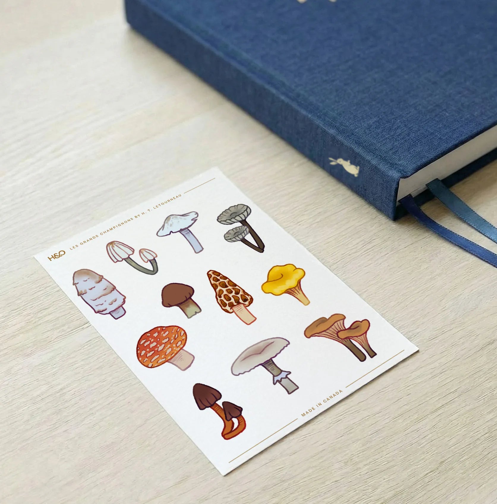 Les Grands Champignons Stickers