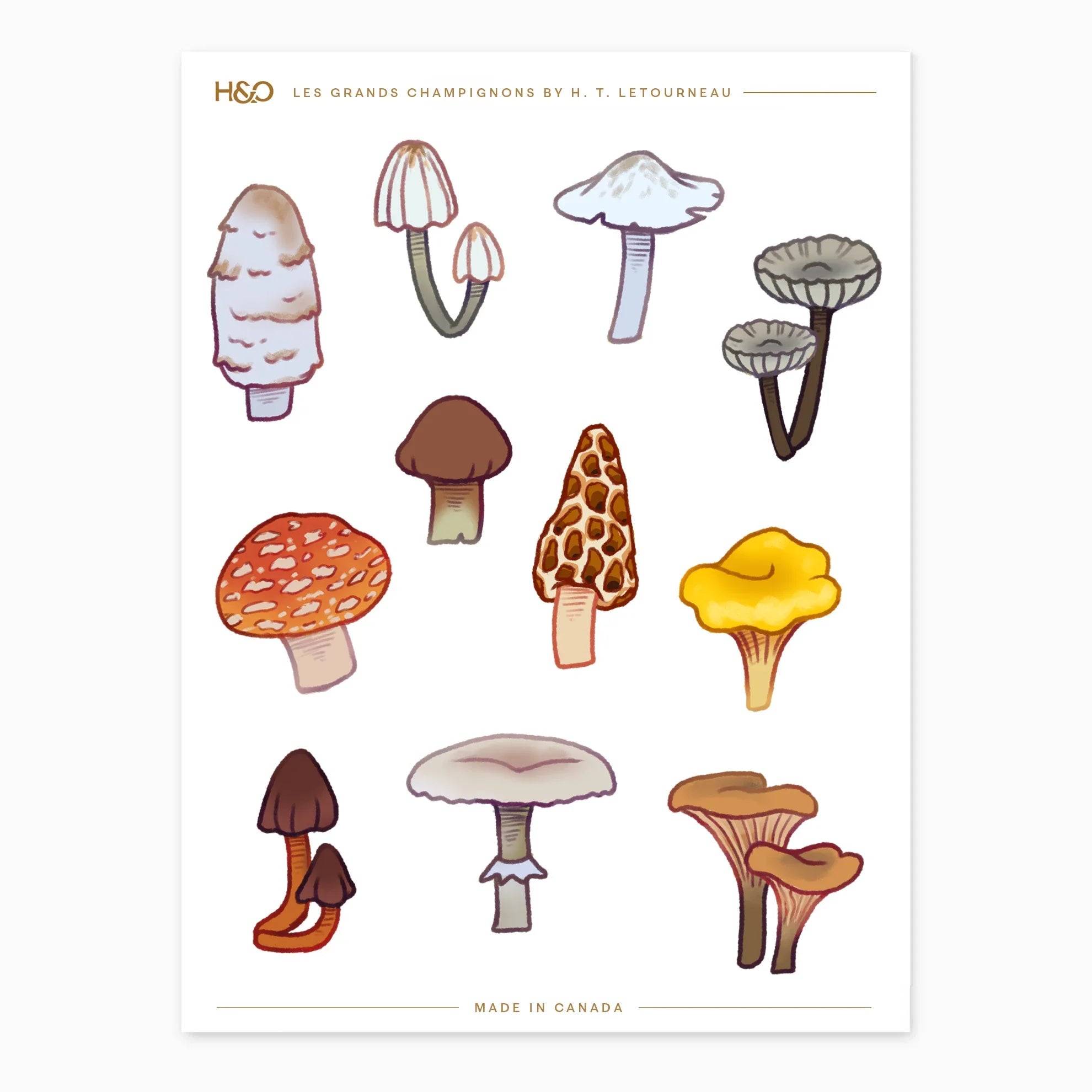 Les Grands Champignons sticker sheet by H. T. Letourneau: eleven illustrated woodland mushrooms including fly agaric, morel, chanterelle and shaggy mane