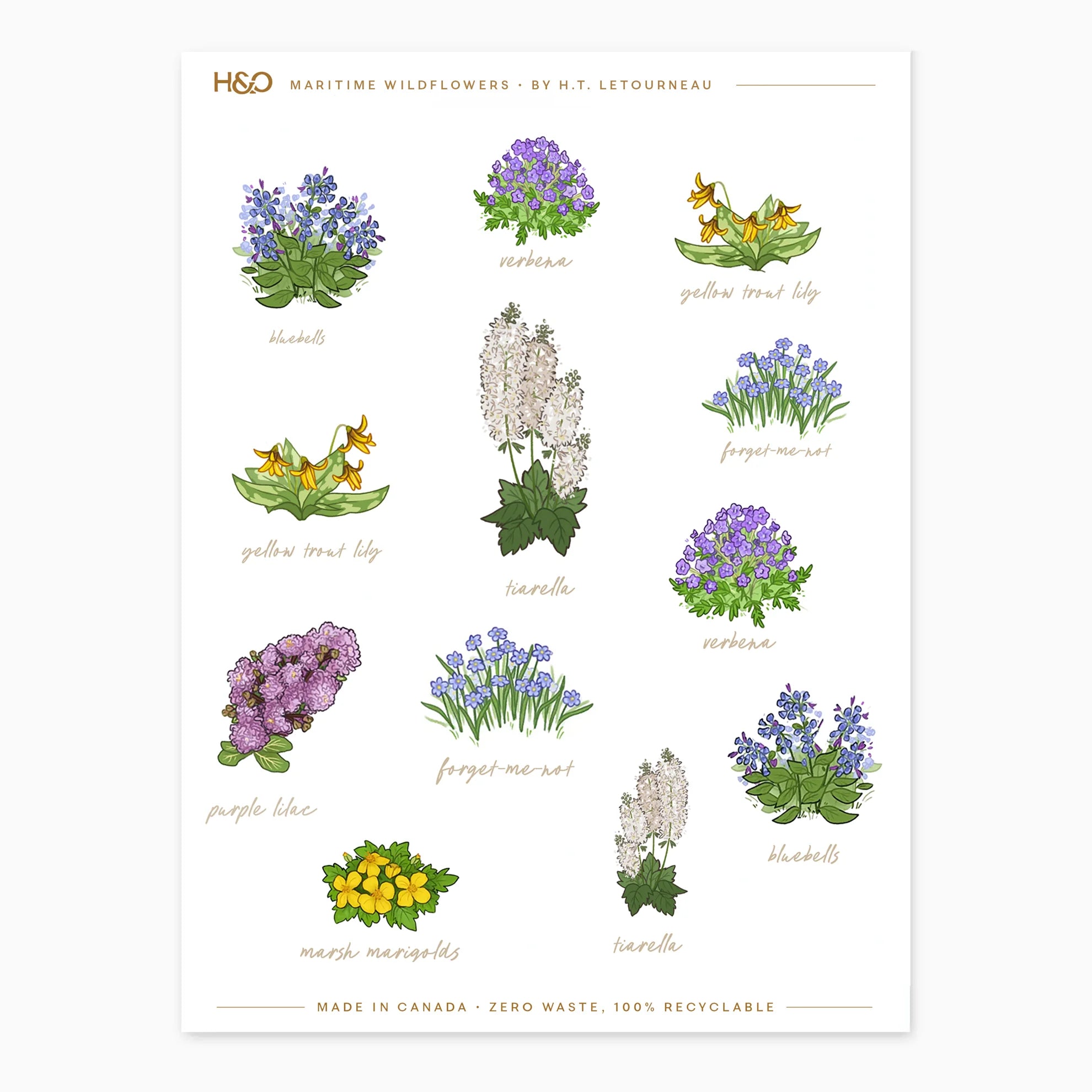 Maritime Wildflowers Stickers