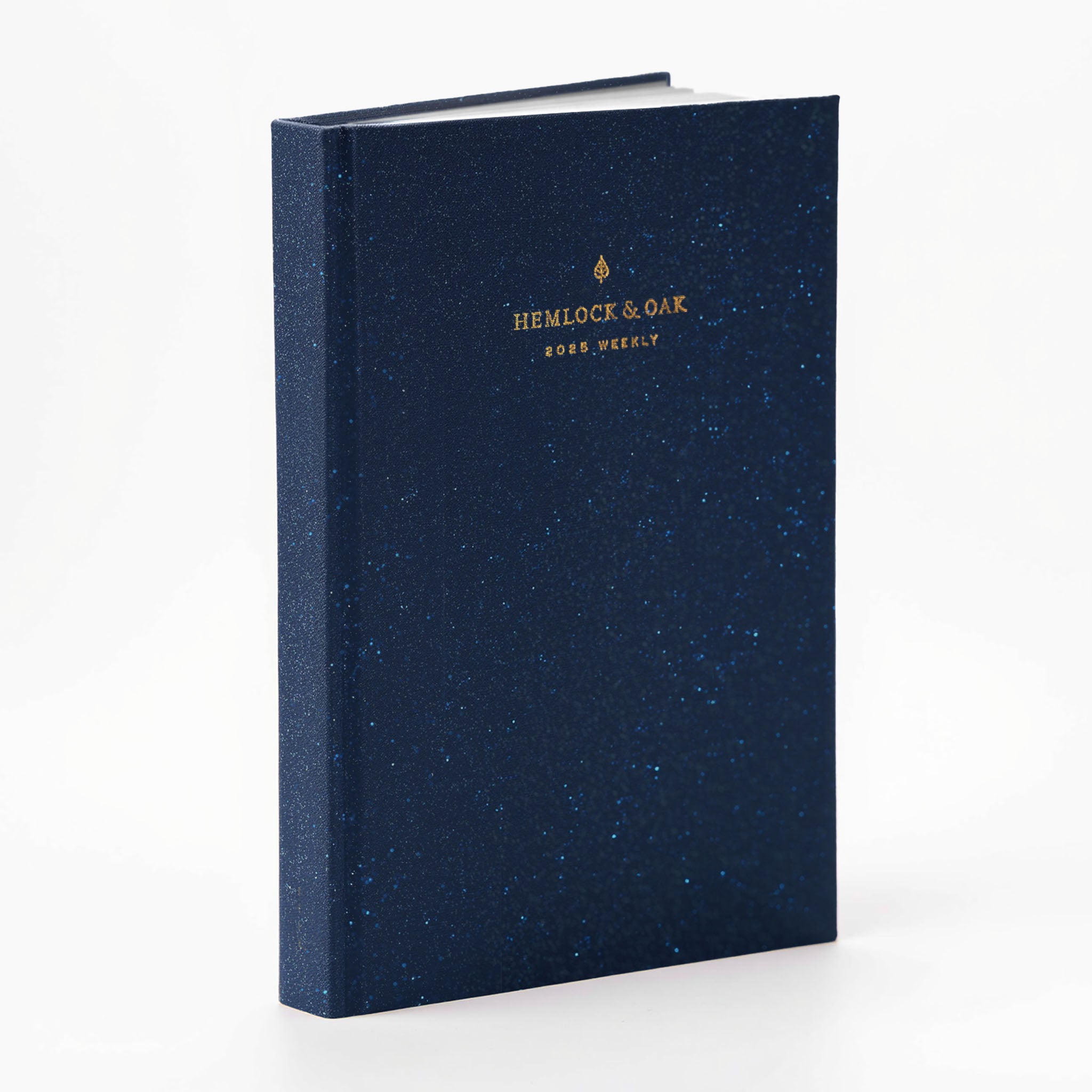2025 Weekly Planner