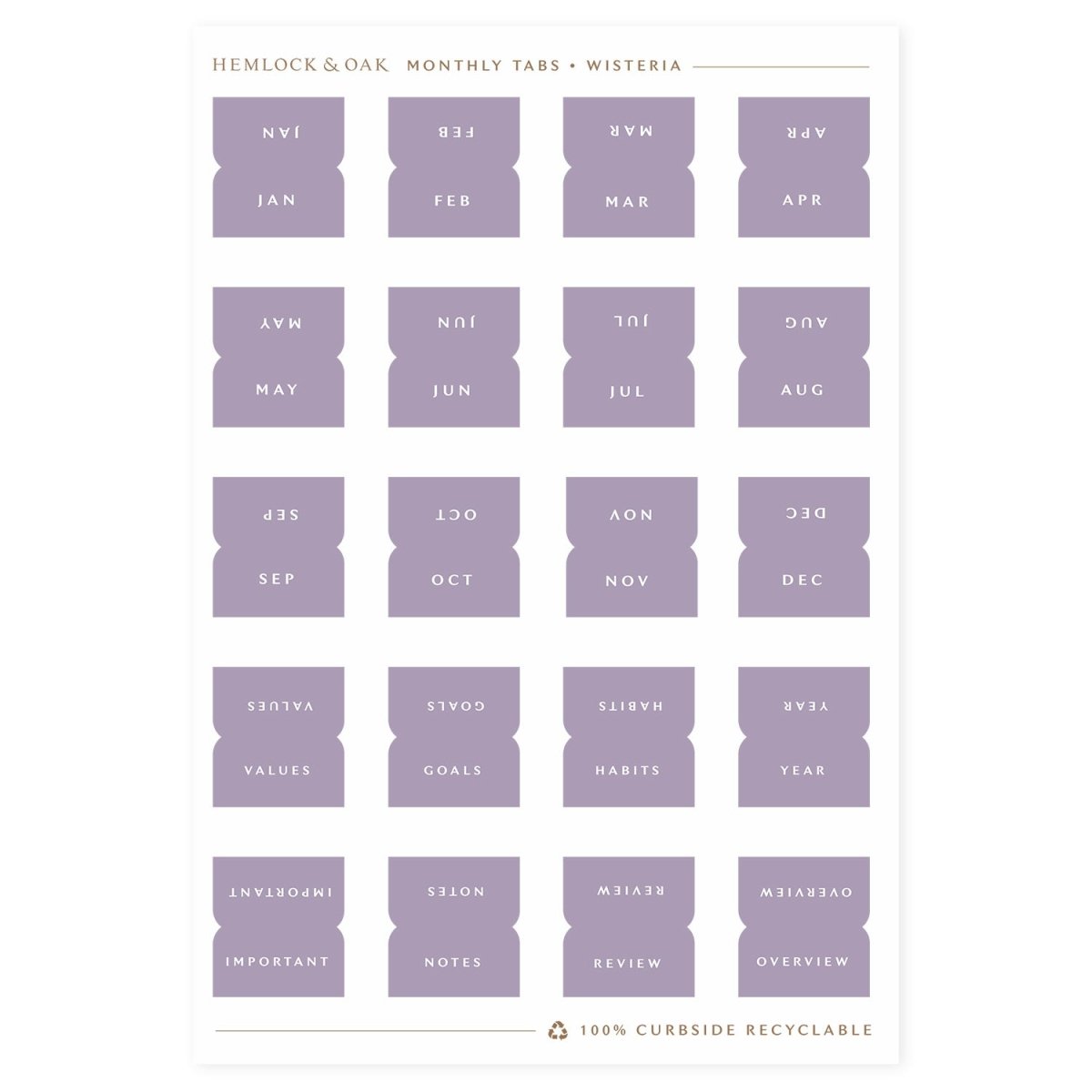 Monthly Tabs Wisteria (Imperfect Batch) #color_ Wisteria (Imperfect Batch)