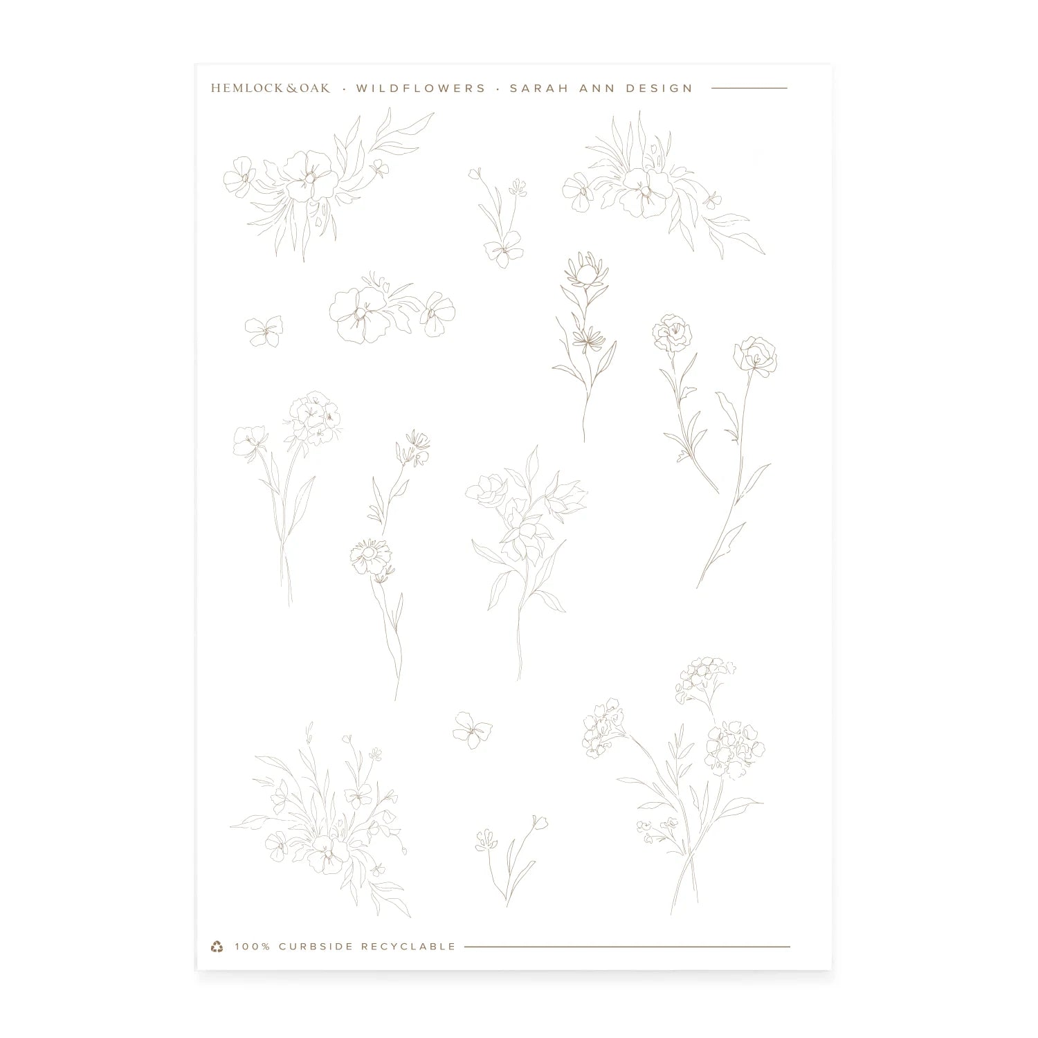 Wildflowers -  - Hemlock & Oak