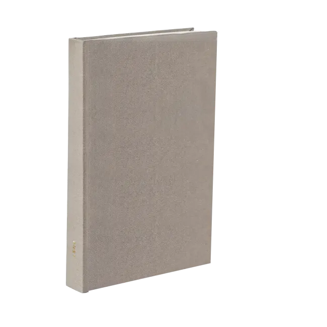 Book 2 preview