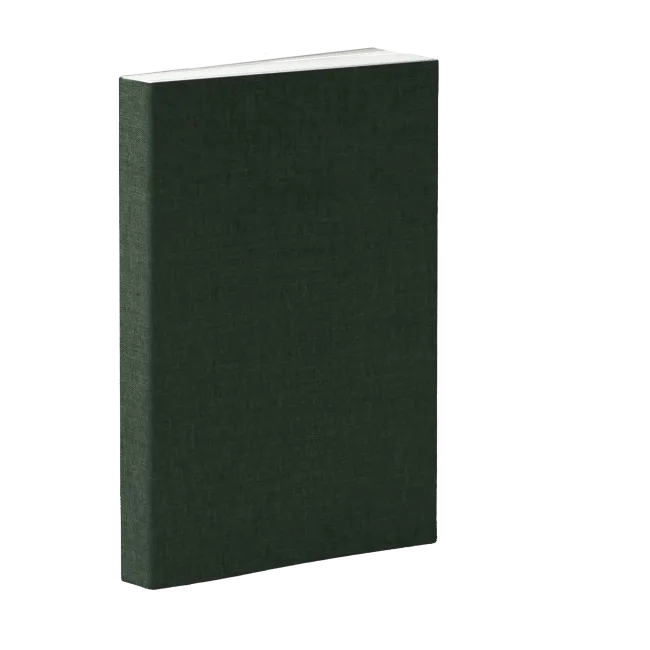 Book 2 preview